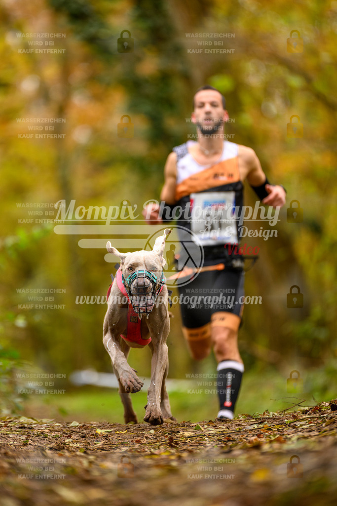 MompixPhotography_Bischwiller24_SA_Canicross-95 | PayLife
