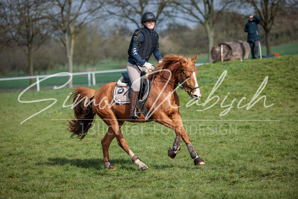 20260329-_3LI3358 | Tierfotografie Pferde, Hunde, Katzen, Haustiere.
Turnierfotografie Reitturniere, Reiten, Springreiten, Dressur in Hanau, dem Main-Kinzig-Kreis und dem Rhein-Main- Gebiet um Frankfurt