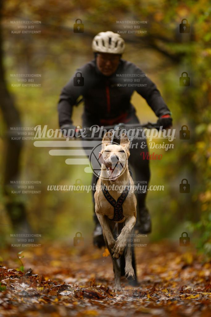 MompixPhotography_CD7S_DI_Bike-6 | mompixphotography