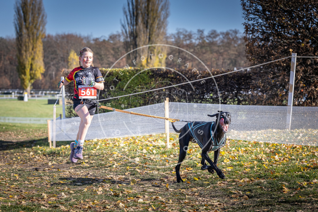 CaniXpix_DV3A8710 | Hundefotografie, Tierfotograf, Pfotenfotografie, Fotoshooting Hund, Hunde Portrait, Hundesport, Hundeportraits, Heideshooting, Hunde, Sportfotograf, Hundefotograf, Turnierhundsport, THS,  - Realisiert mit Pictrs.com