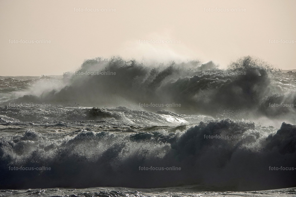 Wild Waves | Wild Waves Atlantic