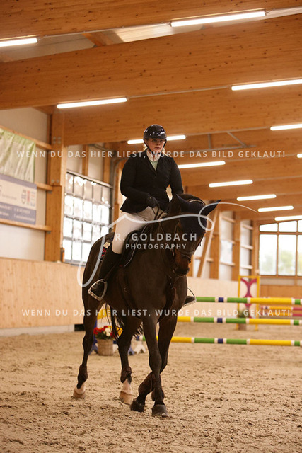 1J2A3310Alexa Burmeister_ Catania 131_ Kn091_ Hohen Wieschendorf_ Glantz | Foto- und Videografie für alles rund ums Pferd. Hochwertige Bilder und Videos vom Spring- und Dressurreiten, Voltigieren & mehr. Jetzt aktuelle Veranstaltungen und Preise im Shop ansehen. - Realisiert mit Pictrs.com