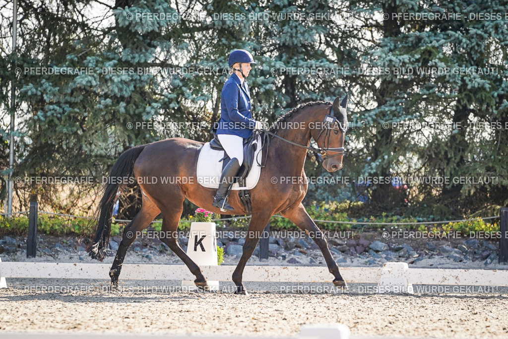 DSC09248 | Pferdegrafie