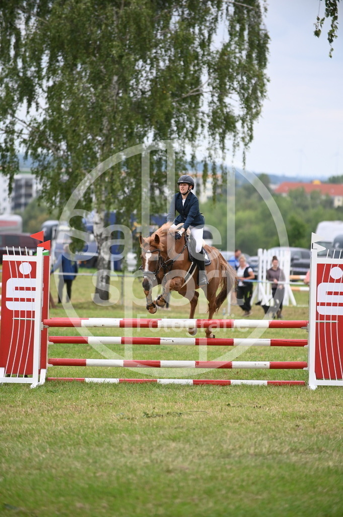 DSC_1277 | sattelsport - Realisiert mit Pictrs.com