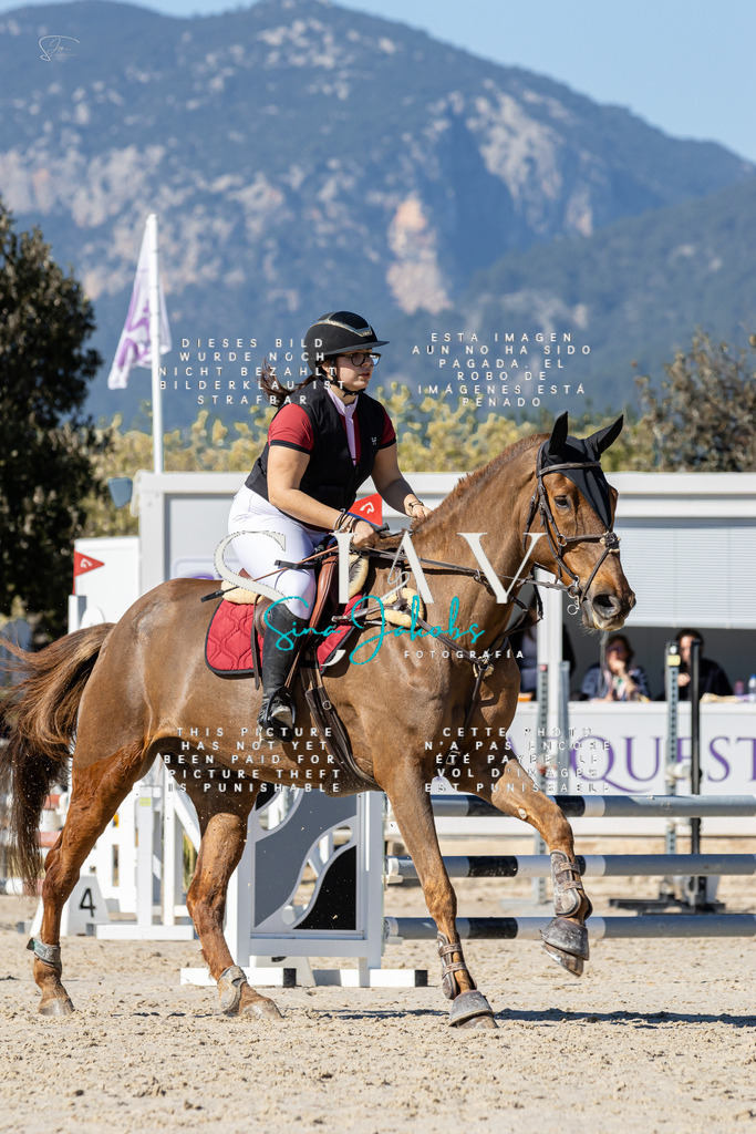 IMG_9235 | s-jay-photography - Realisiert mit Pictrs.com