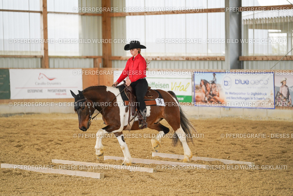 DSC04238 | Pferdegrafie