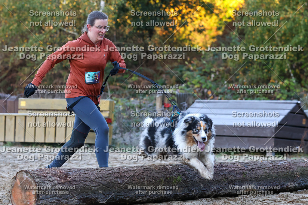 Dog Paparazzi - Strongdog 10-25-265 | Dog Paparazzi Jeanette Grottendiek Fotografie & Videografie - Realisiert mit Pictrs.com