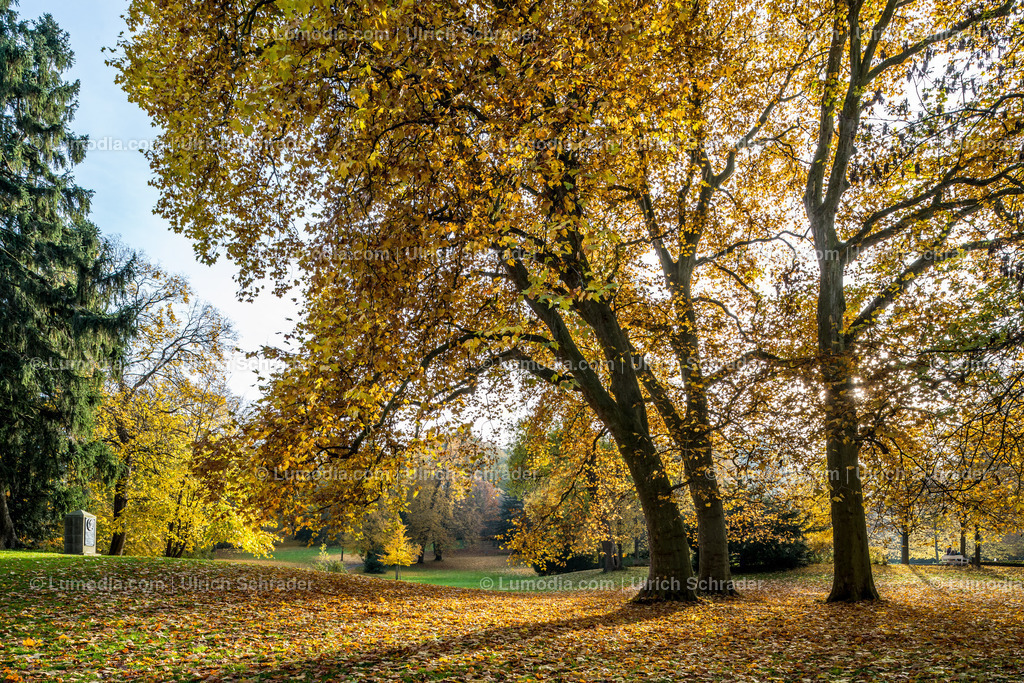 10049-4611 - Schloßpark Ballenstedt | Stockfoto und Bilderpool mit Bildmaterial aus Deutschland, dem Harz, Halberstadt, Quedlinburg, Wernigerode und weltweit. Qualitativ hochwertige und professionelle Fotos anschauen und kaufen. - Realisiert mit Pictrs.com