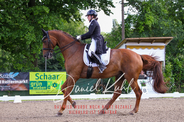 DKP41609 | Deine Turnierfotos vom Reitturnier online kaufen: Dressur, Springen & Siegerehrung. Professionelle Pferdefotografie aus dem Rheinland – als Download & Print.Alternative: Turnierfotograf für den Pferdesport: Finde deine Fotos von Dressur- und Springturnier