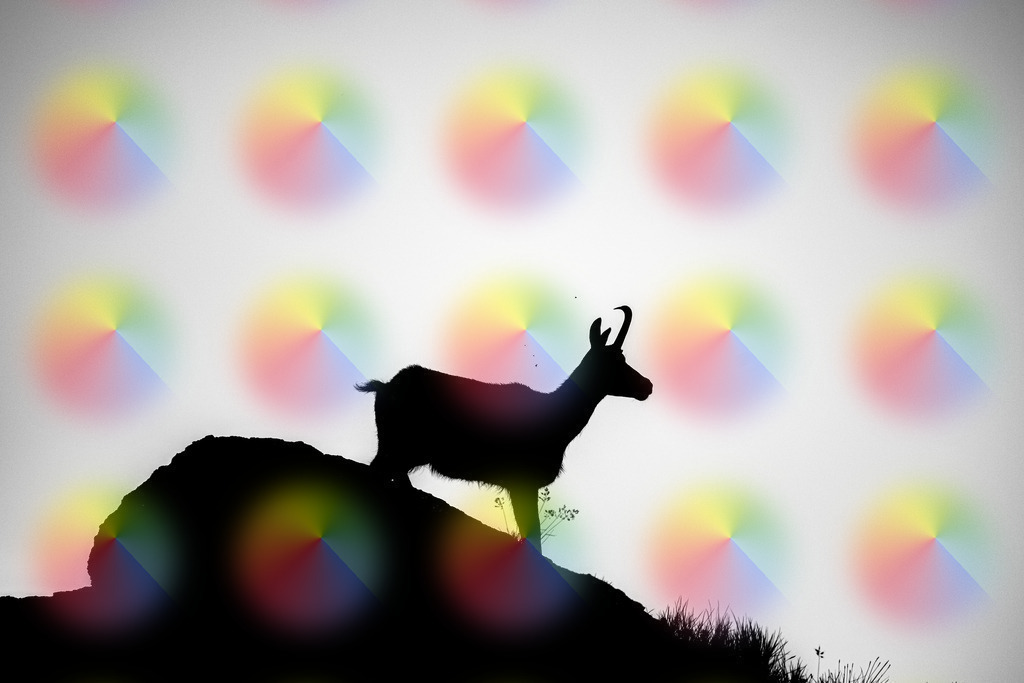 20240728-1M5A8281 | FineArtPrint, Hahnemühle, FeeGalerie, Fee Galerie, Fotokunst, Fotografie, Canonphotography, Bergfoto, Matterhorn, Rimpfischhorn, Allalinhorn, Saas-Fee, Wallis, Valais, Switzerland, Bergfotografie