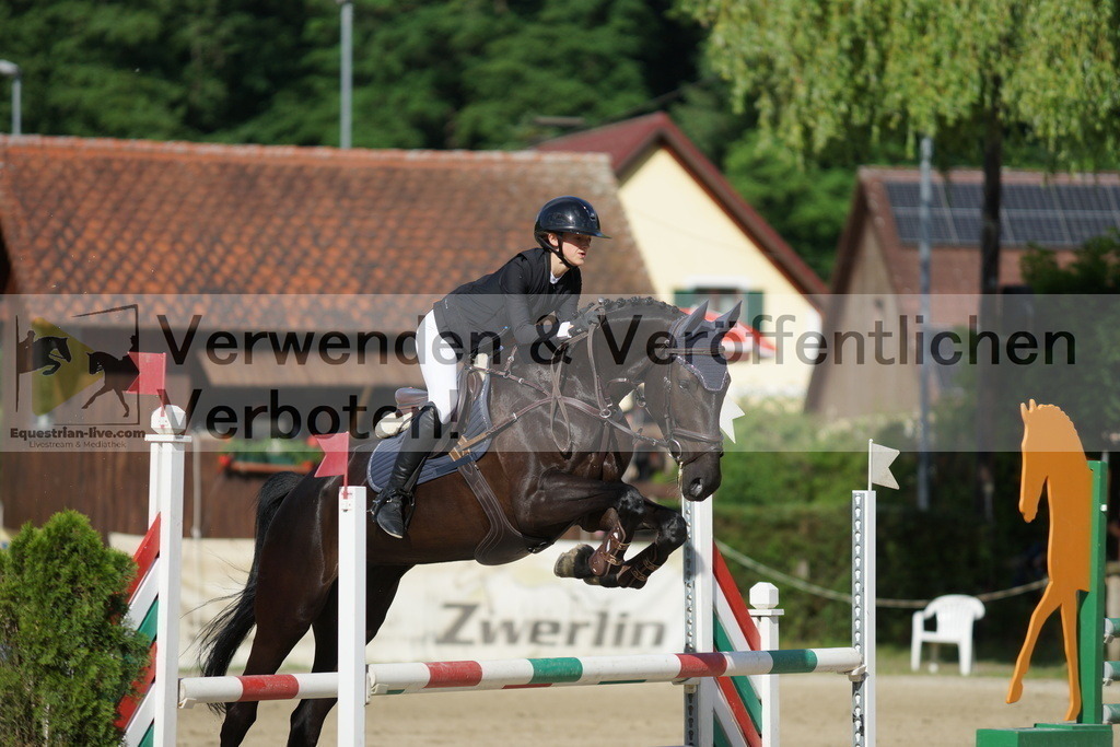 DSC08517 | equestrian-live-com