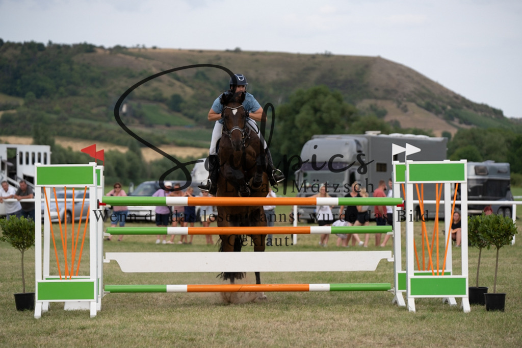 A7V02806 | Pferdefotograf