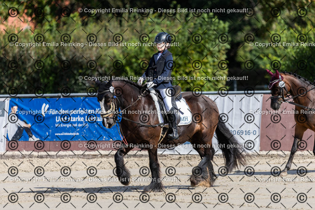 CL5A1806 | Emilia Reinking Fotografie - Realisiert mit Pictrs.com