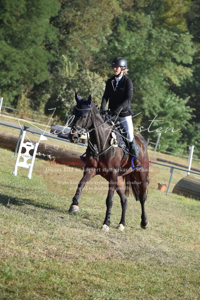 DSC_5397 | Pferde- und Turnierfotografie in Westsachsen. Pferdeportraits, Auftragszeichnungen und intuitive Kunst.