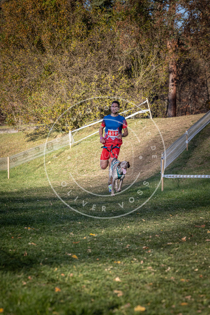 CaniXpix_0L8A8756 | Hundefotografie, Tierfotograf, Pfotenfotografie, Fotoshooting Hund, Hunde Portrait, Hundesport, Hundeportraits, Heideshooting, Hunde, Sportfotograf, Hundefotograf, Turnierhundsport, THS,  - Realisiert mit Pictrs.com