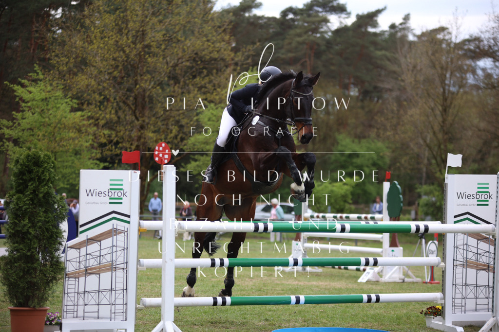 IMGT1707 | pl-fotografie