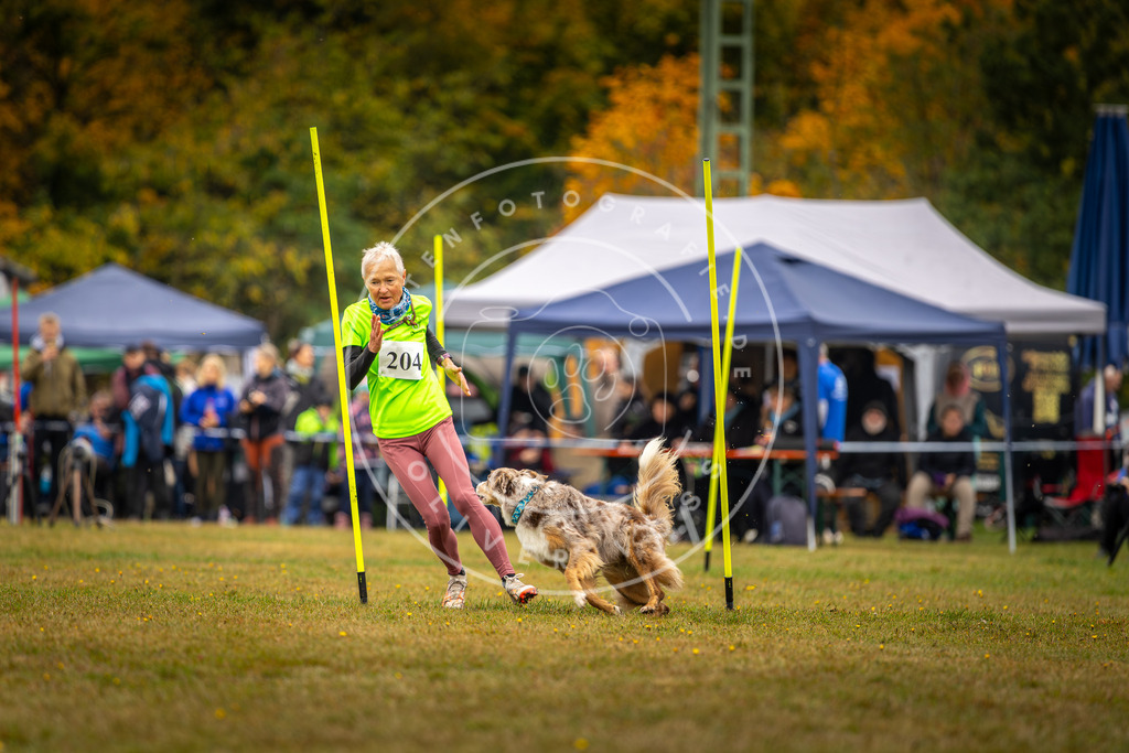 Pfotenfotografie_DV3A2047 | Hundefotografie, Tierfotograf, Pfotenfotografie, Fotoshooting Hund, Hunde Portrait, Hundesport, Hundeportraits, Heideshooting, Hunde, Sportfotograf, Hundefotograf, Turnierhundsport, THS,  - Realisiert mit Pictrs.com
