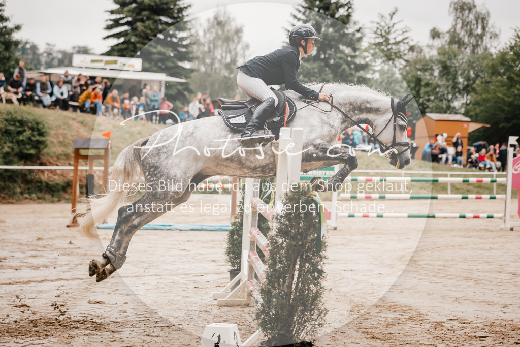 3I6A2016 | Stimmungsvolle Portraits und Reitsportfotografie im Ruhrgebiet und im Münsterland.

Pferdefotografie, Hundefotografie, Tierfotografie, Reportagen, Portraits von Tier und Mensch, Turnierfotografie in Bochum, Recklinghausen, Marl, Haltern am See, Dülmen.. - Realisiert mit Pictrs.com