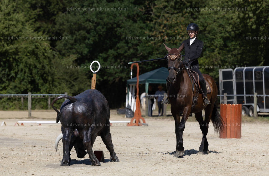 WE_Trail_113_KerstinBernhardt-7 | working equitationturnier fotograf videograf stoibphotography marixx film working equitation deutschland reitsport turnierfotografie eventfotografie equestrian events