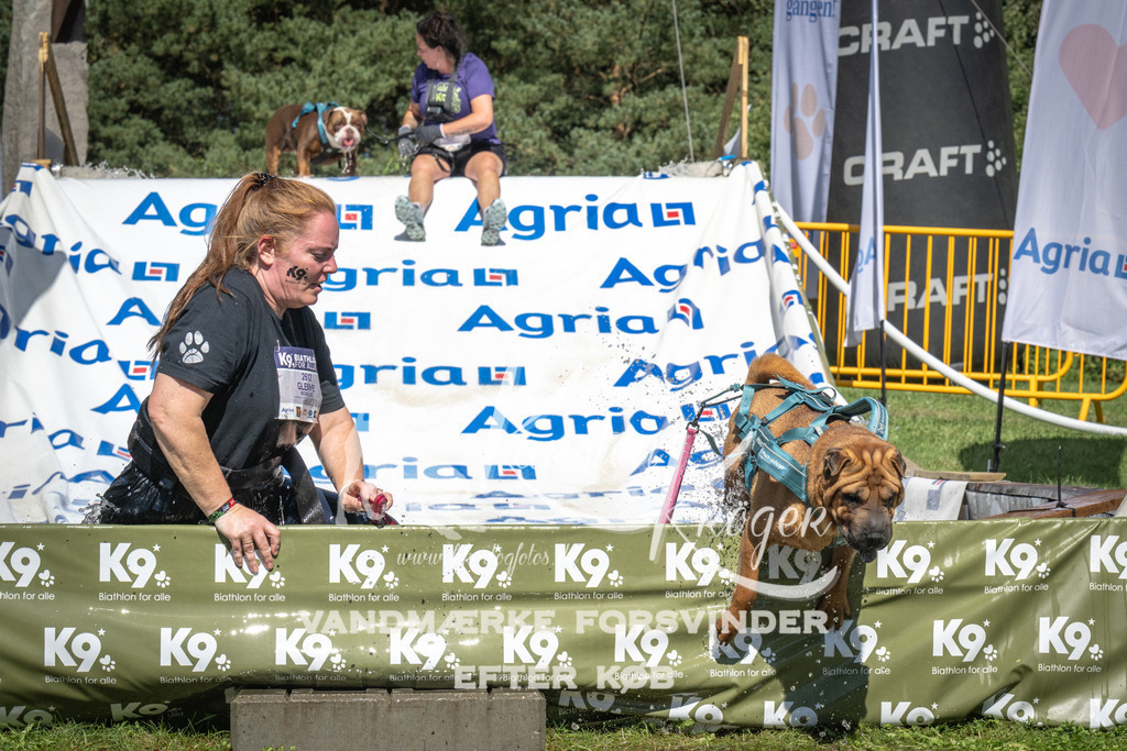 1457_ZZ96643 | kk-dogfotos