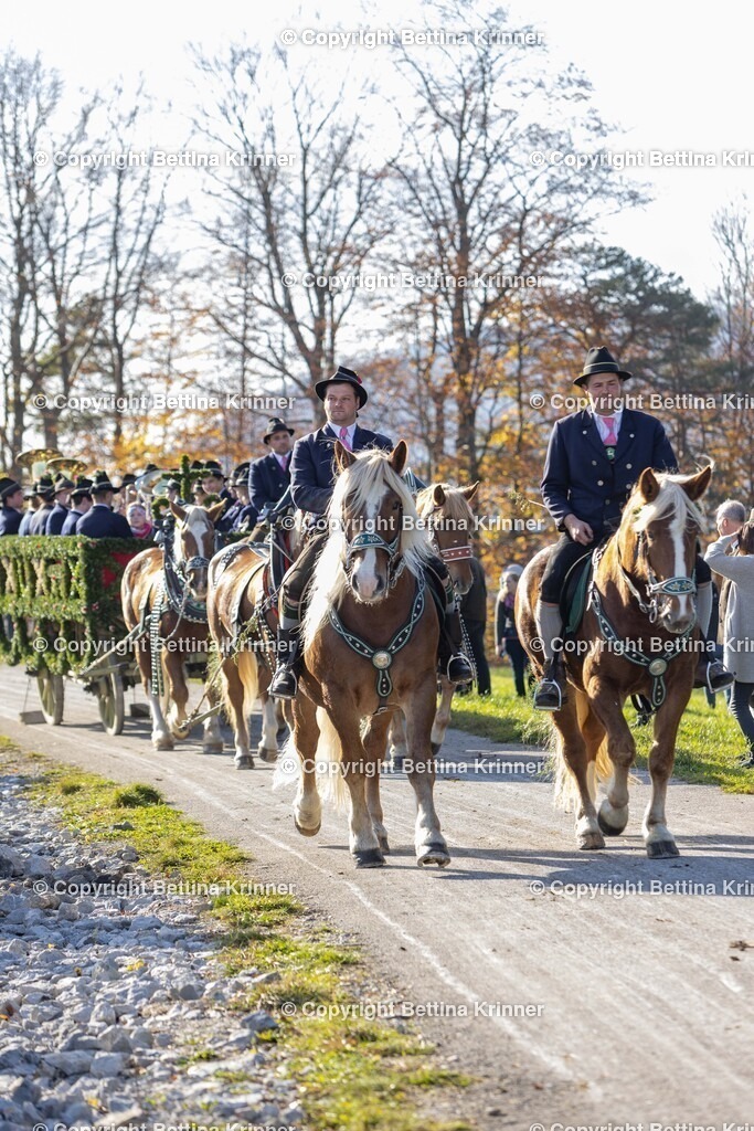 LBT24-1226 | foto-bettina-krinner - Realisiert mit Pictrs.com