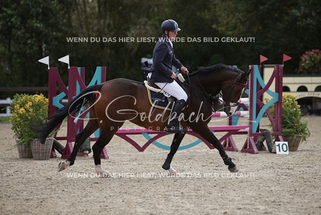1J2A0985Christian Riedinger_ Lyra 87_ Kn679_ Havekost | Foto- und Videografie für alles rund ums Pferd. Hochwertige Bilder und Videos vom Spring- und Dressurreiten, Voltigieren & mehr. Jetzt aktuelle Veranstaltungen und Preise im Shop ansehen. - Realisiert mit Pictrs.com