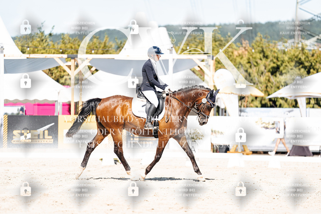 CK909363 | Turnierfotografie Pferdefotografie Trier Rheinland-Pfalz Pferdesport Reitsport Tierfotografie Sportfotografie Pferdevideo Pferdevideografie Equestrianvideography equestrianphotography  - Realisiert mit Pictrs.com