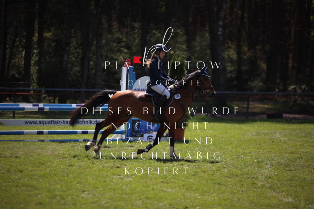 IMGT5636 | pl-fotografie