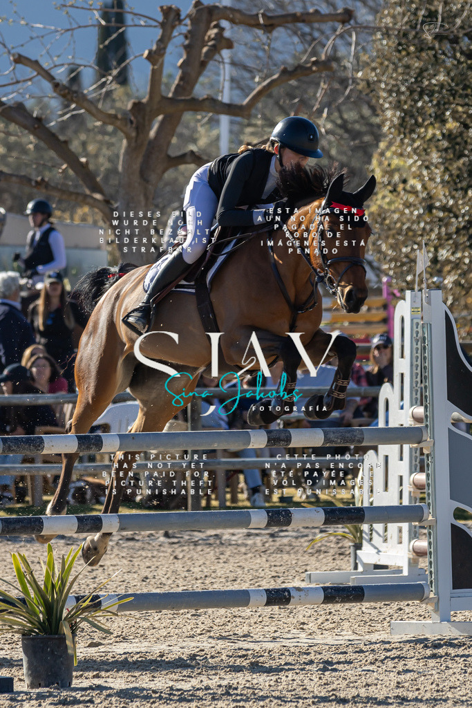 IMG_1819 | s-jay-photography - Realisiert mit Pictrs.com