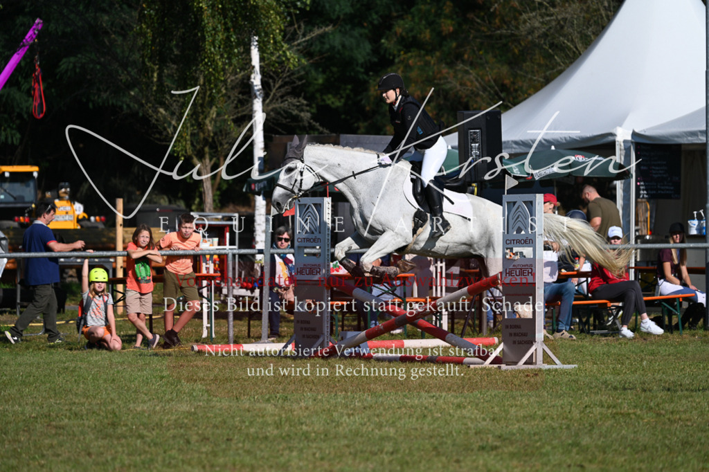 DSC_5080 | Pferde- und Turnierfotografie in Westsachsen. Pferdeportraits, Auftragszeichnungen und intuitive Kunst.