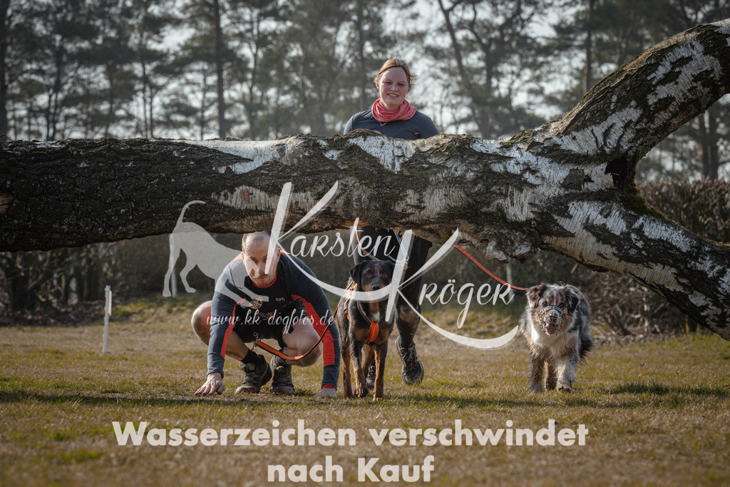 1034_ZZ93026 | kk-dogfotos