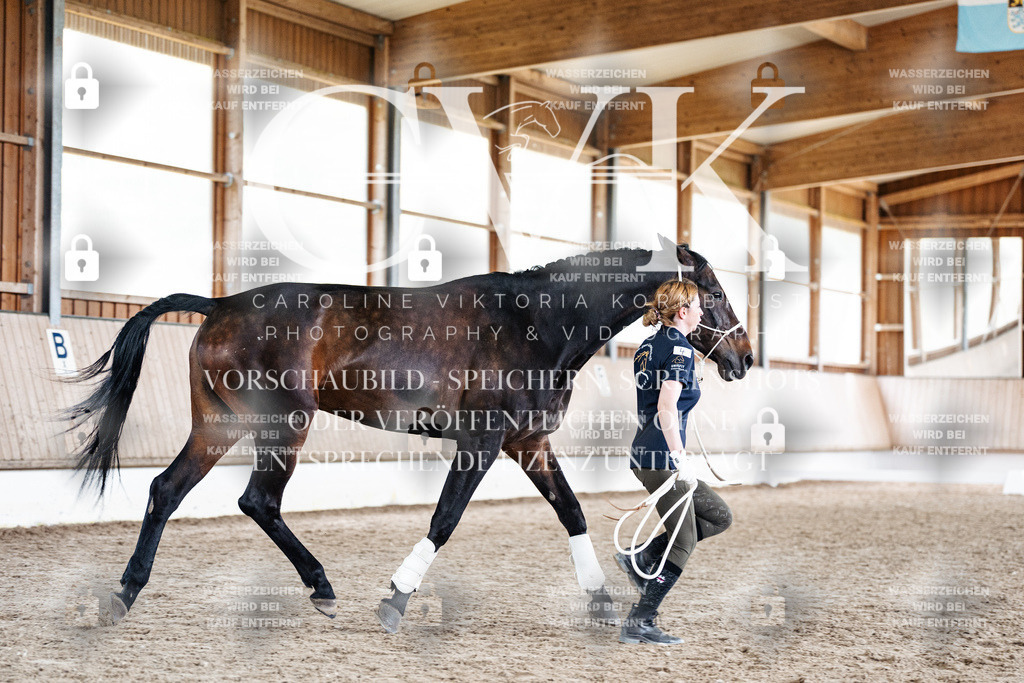 CK908100 | Turnierfotografie Pferdefotografie Trier Rheinland-Pfalz Pferdesport Reitsport Tierfotografie Sportfotografie Pferdevideo Pferdevideografie Equestrianvideography equestrianphotography  - Realisiert mit Pictrs.com