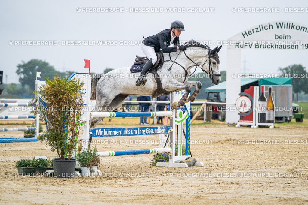 DSC01326 | Pferdegrafie