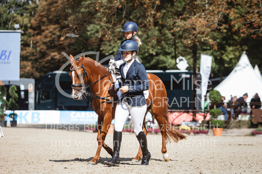 240915_OWLCh_FuehrzuegelWB-706 | Deine schönsten Turniermomente als professionelle Fotos! Entdecke hochwertige Pferdesport-Fotografie im Online-Shop. Jetzt Fotos finden & bestellen!