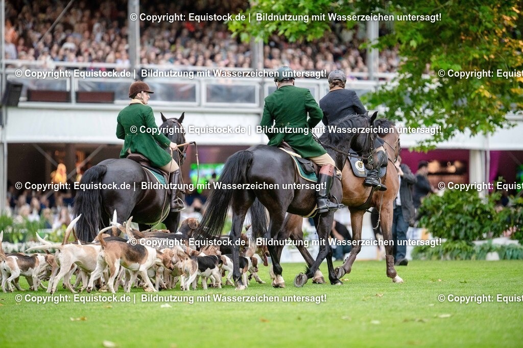 20250606_Lange-Pferdenacht_0479 | Foto: Thomas Hartig