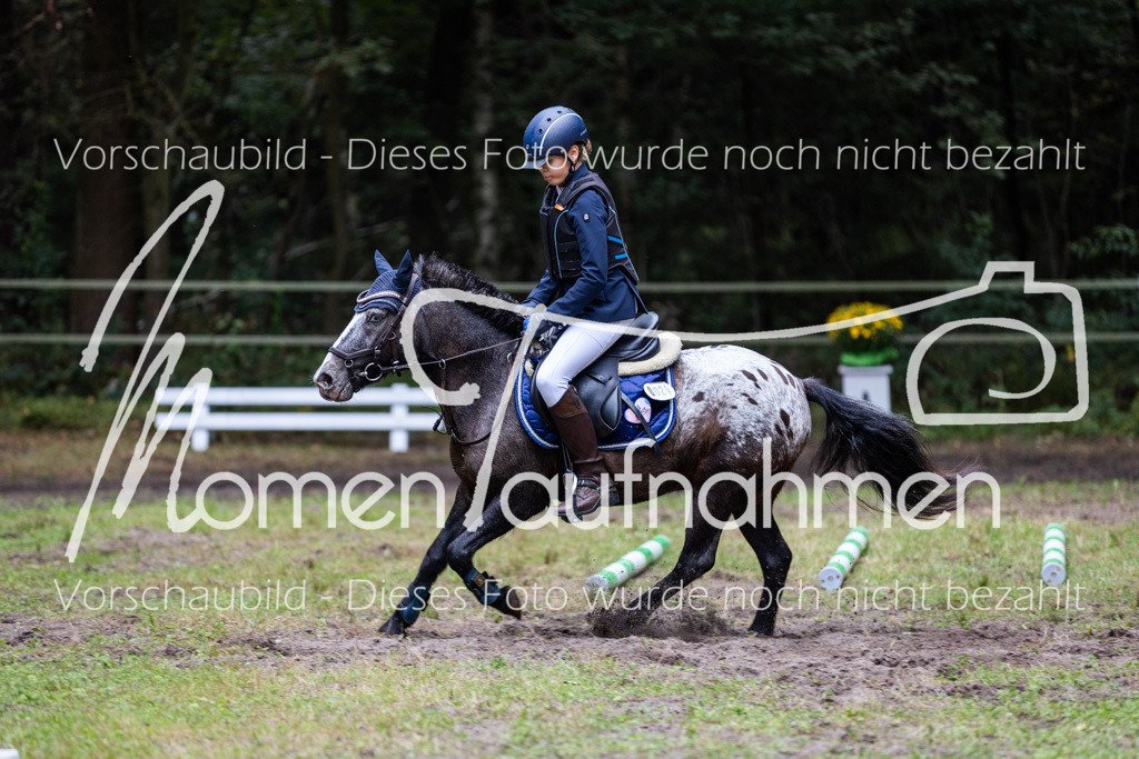 HB-Caprilli-034 | MomenTaufnahmen Pferdesportfotos