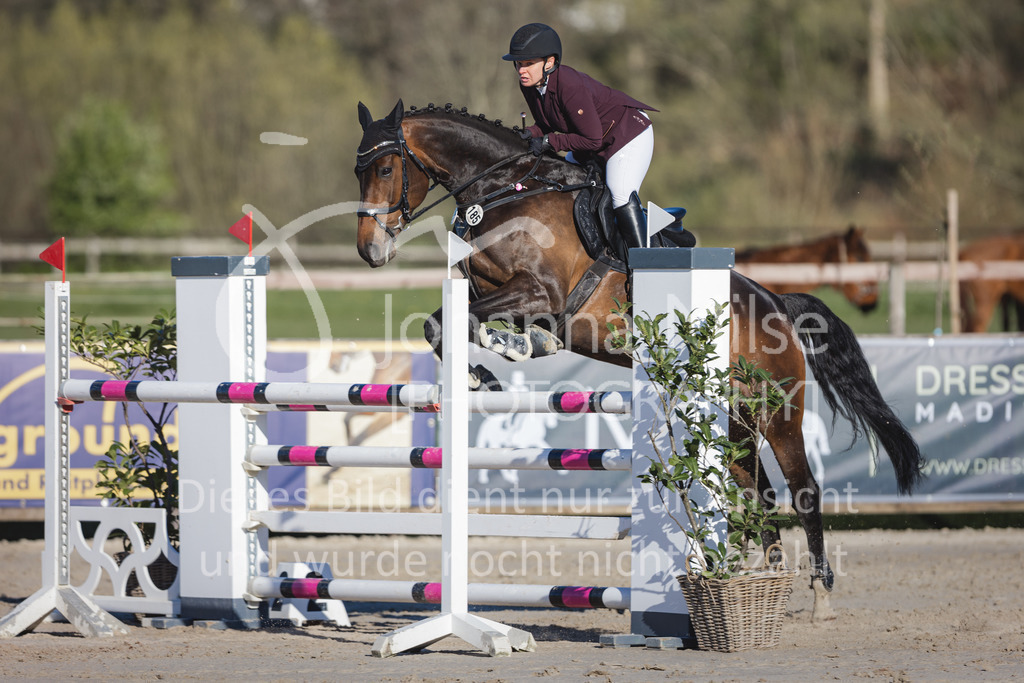 220416_5_M-Stil-591 | Frühlingsfest der Pferde
Herford
16.April 2022
Stilspringprüfung Kl.M* geschlossen