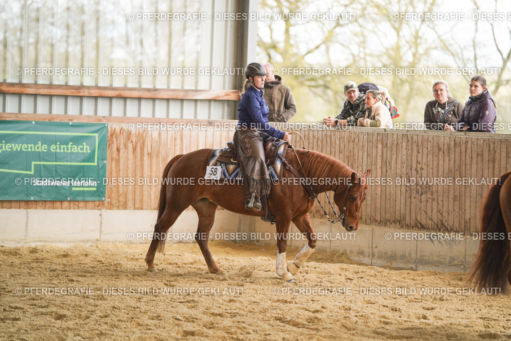 DSC08822 | Pferdegrafie