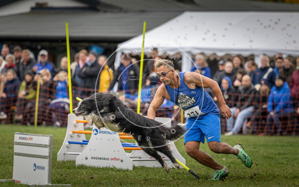 Pfotenfotografie_DV3A0192 | Hundefotografie, Tierfotograf, Pfotenfotografie, Fotoshooting Hund, Hunde Portrait, Hundesport, Hundeportraits, Heideshooting, Hunde, Sportfotograf, Hundefotograf, Turnierhundsport, THS,  - Realisiert mit Pictrs.com