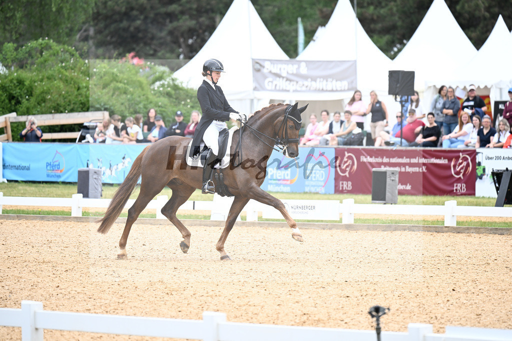 Fuchs_DSP Dimanche Royal_11255924 | hf-fotografie - Realizzato con Pictrs.com