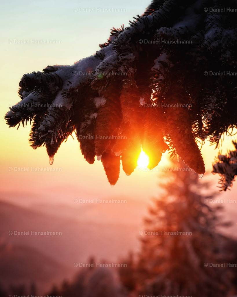 IMG_1464 | Hier finden Sie Poster, Leinwandfotos sowie viele weitere Fotoprodukte mit Motiven aus dem Schwarzwald, aus Freiburg und dem Kaiserstuhl zum Download und zum Bestellen.  - Realisiert mit Pictrs.com