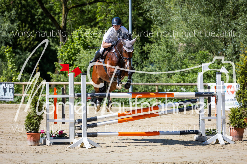 Donop24-M-Spr-006 | MomenTaufnahmen Pferdesportfotos