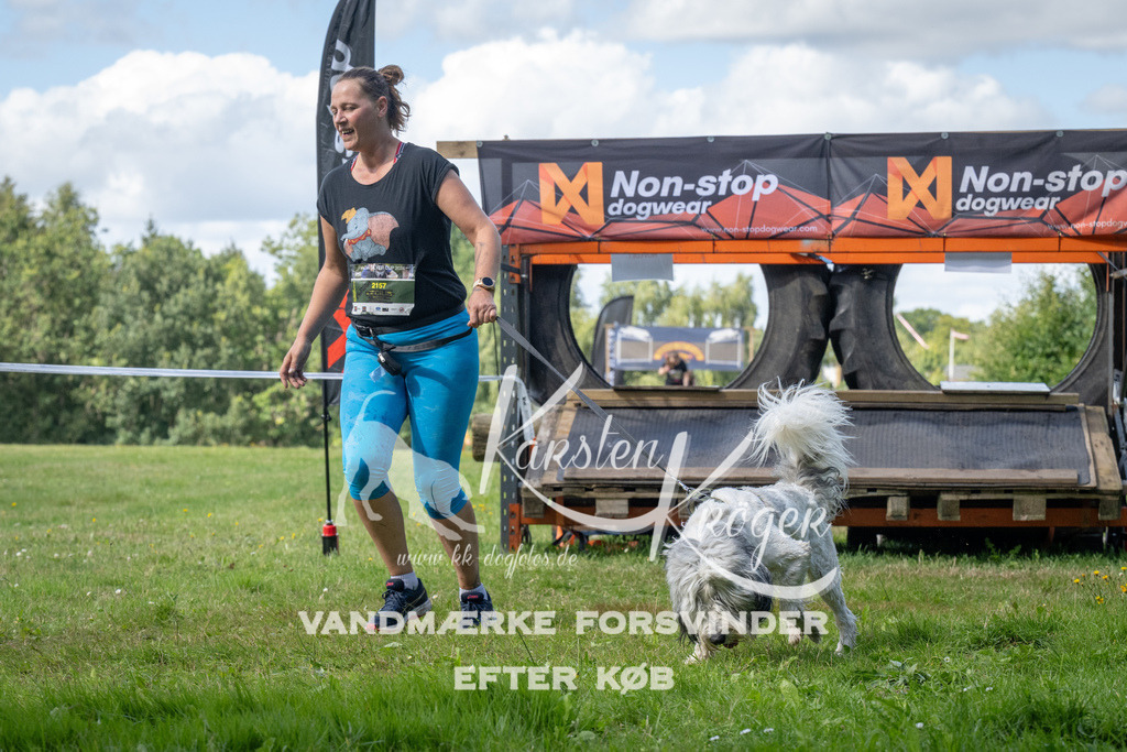 1551_ZZ94530 | kk-dogfotos