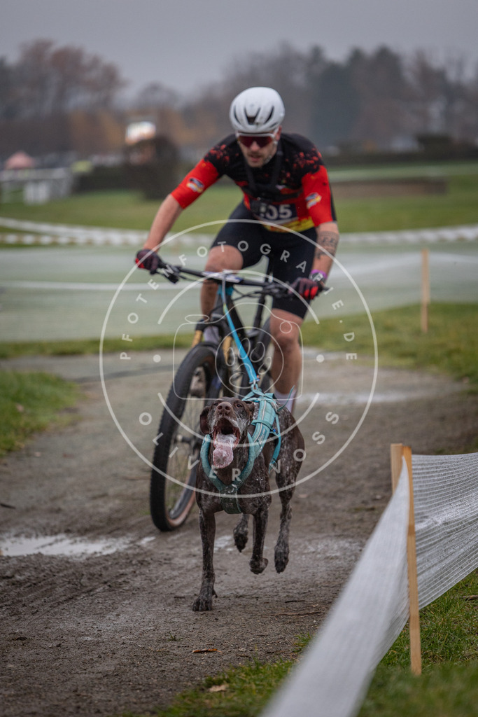 CaniXpix_0L8A0994 | Hundefotografie, Tierfotograf, Pfotenfotografie, Fotoshooting Hund, Hunde Portrait, Hundesport, Hundeportraits, Heideshooting, Hunde, Sportfotograf, Hundefotograf, Turnierhundsport, THS,  - Realisiert mit Pictrs.com