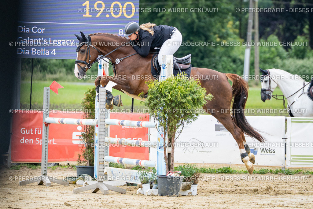 DSC04366 | Pferdegrafie