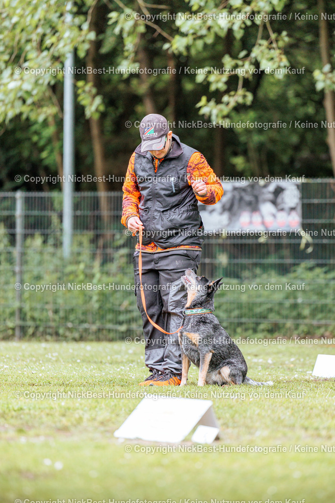 RO-Blumenthal-2026-Nickbest-Hundefotografie-1119 | Dein Hund! Dein Moment! Deine Erinnerungen! Hundefotografie in Bremen Blumenthal. Ich fange die besonderen Momente deines Vierbeiners ein – ob Indoor mit Blitzanlage oder in der freien Natur. Sicher dir dein Moment und dein Termin für eure Erinnerungen.