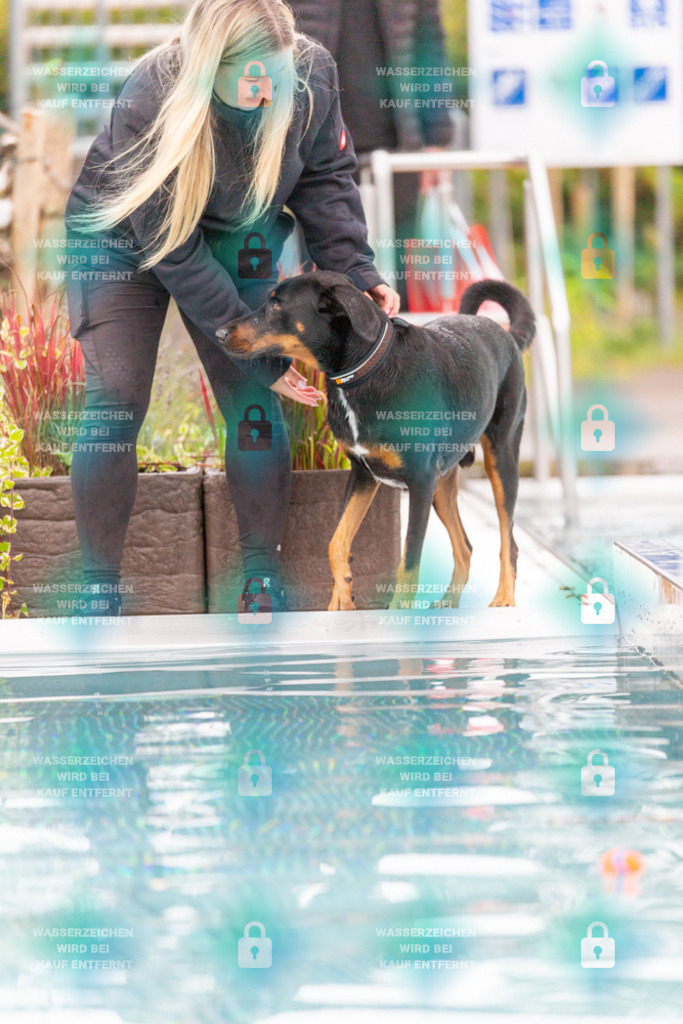 _HP_7339_1000o | HetPix, HetPix Fotodesign, Fotografie, Fotodesign, Webshop, Sportfotografie, Portraitfotografie, Onlineshop, Sportfotografie, Polch, Motorsportfotografie, Eventfotografie