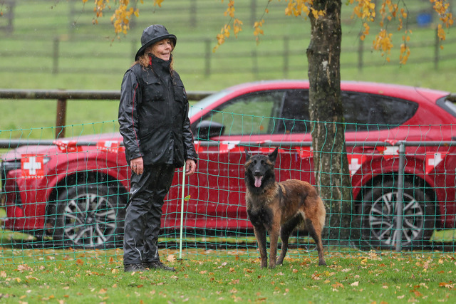 2025_Rally_Obedience_SM-173 | Ich fotografiere Hundeausstellungen, Sportanlässe, Zuchtstätten, Hundezucht, Hundeportrait, Lagotto - Realisiert mit Pictrs.com