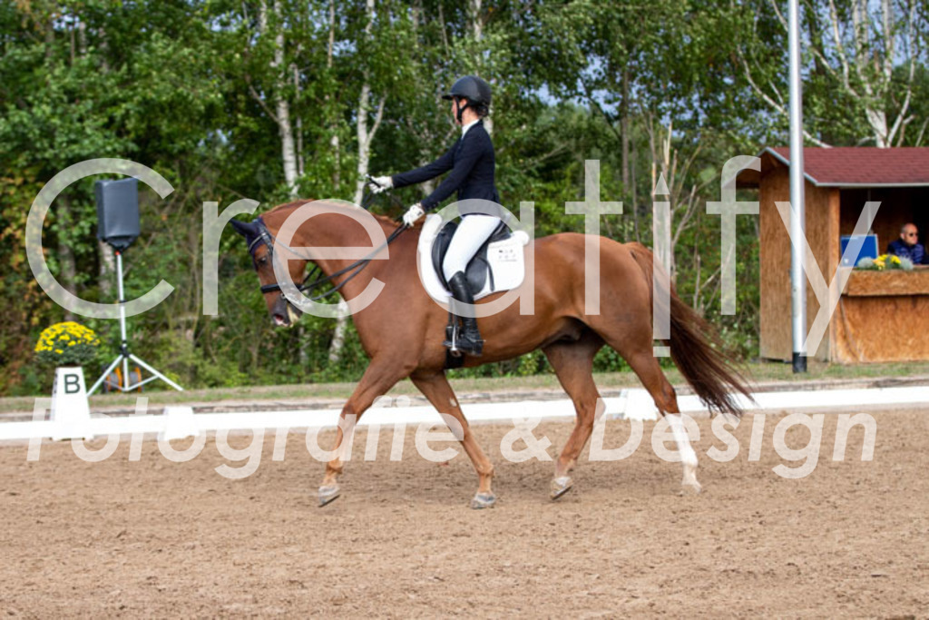 IMG_5915 | Creatify Fotografie