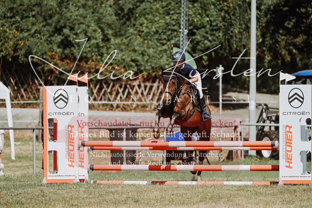 DSC_0066 | Pferde- und Turnierfotografie in Westsachsen. Pferdeportraits, Auftragszeichnungen und intuitive Kunst.